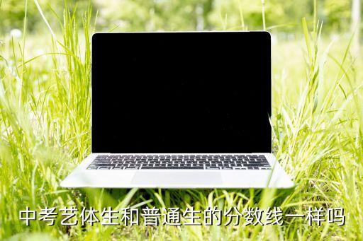 中考艺体生和普通生的分数线一样吗