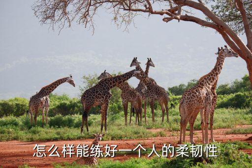 怎么样能练好一个人的柔韧性