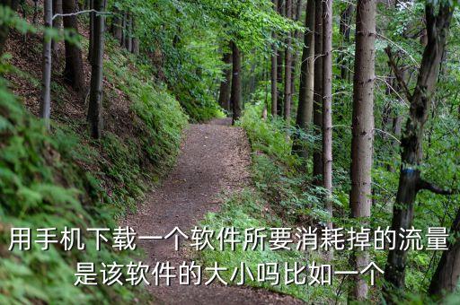 用手机下载一个软件所要消耗掉的流量是该软件的大小吗比如一个