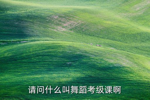 请问什么叫舞蹈考级课啊