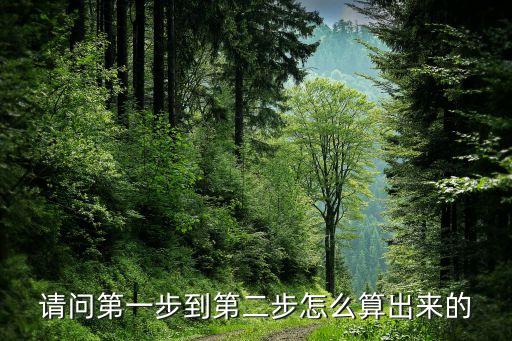 请问第一步到第二步怎么算出来的