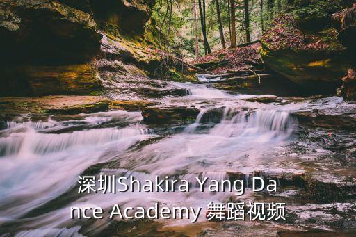 深圳Shakira Yang Dance Academy 舞蹈视频