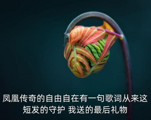 凤凰传奇的自由自在有一句歌词从来这短发的守护 我送的最后礼物