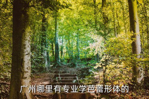 广州哪里有形体芭蕾，广州芭蕾舞馆在哪