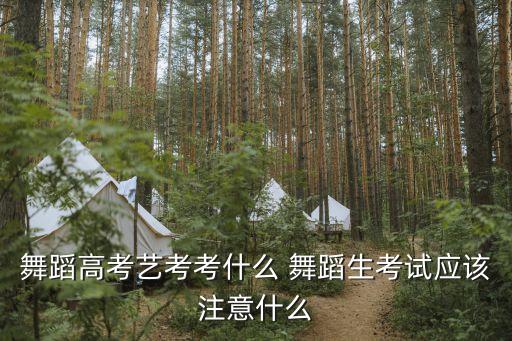 舞蹈高考艺考考什么 舞蹈生考试应该注意什么