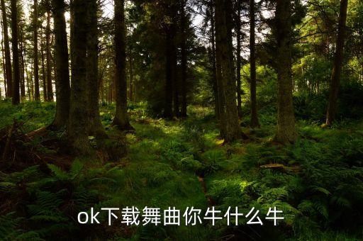 ok下载舞曲你牛什么牛