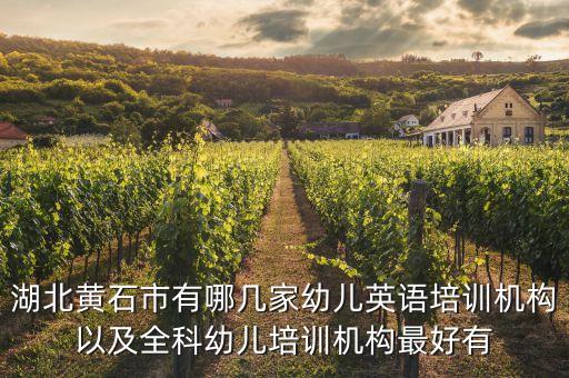 湖北黄石市有哪几家幼儿英语培训机构以及全科幼儿培训机构最好有