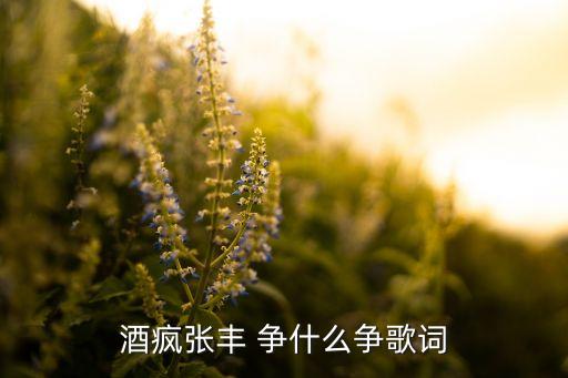 你争什么争歌词，你抢什么抢你争什么争求歌名