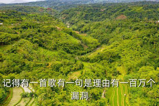 理由一百万个有漏洞是什么歌，找一首粤语歌有如下线索
