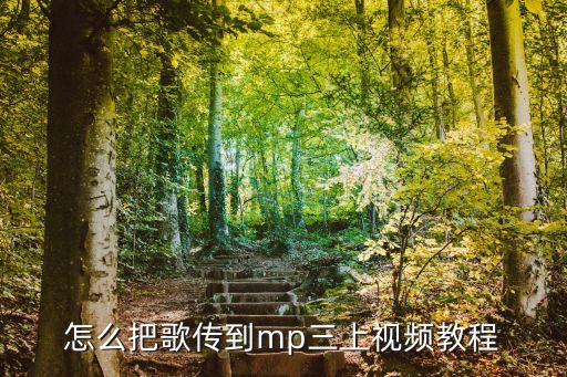 怎么把歌传到mp三上视频教程