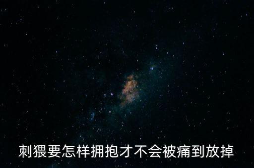 刺猥要怎样拥抱才不会被痛到放掉