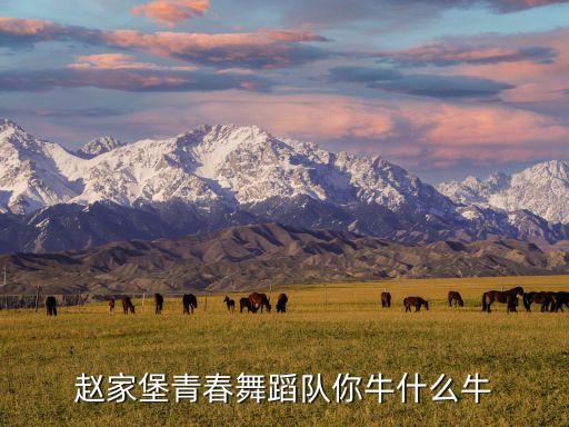 赵家堡青春舞蹈队你牛什么牛