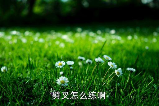 如何学会劈叉视频，如何学会劈叉