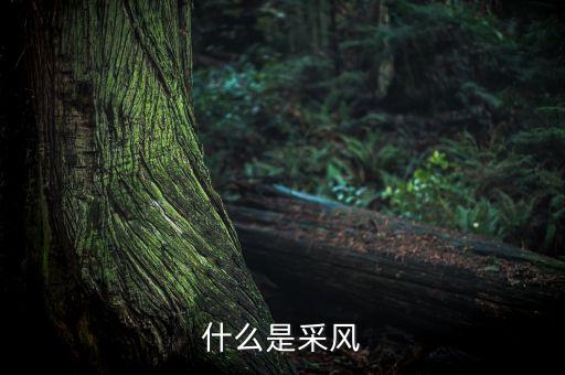 什么是采风