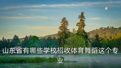 山东省有哪些学校招收体育舞蹈这个专业