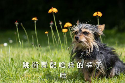 跳 街 舞 配 啥 样 的 裤 子 哇
