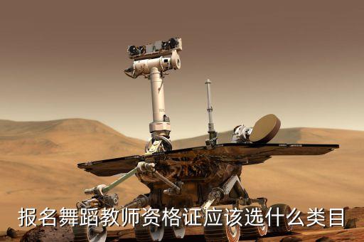 报名舞蹈教师资格证应该选什么类目