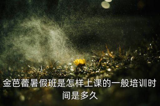 舞蹈暑假班一般多少课时，金芭蕾暑假班上课要多久