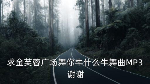 求金芙蓉广场舞你牛什么牛舞曲MP3 谢谢
