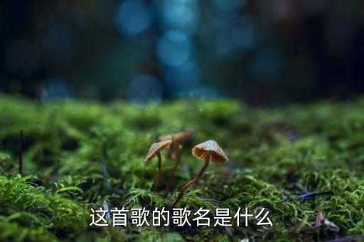 花开半朵 是什么歌，这首歌的歌名是什么