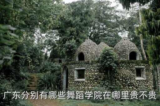 广东分别有哪些舞蹈学院在哪里贵不贵
