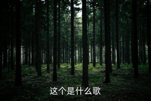他不值得你的泪是什么歌，他不值得你的泪什么歌