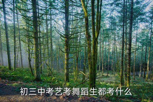 初三中考艺考舞蹈生都考什么