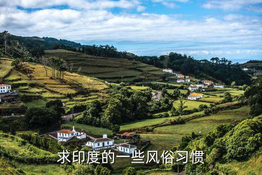 求印度的一些风俗习惯
