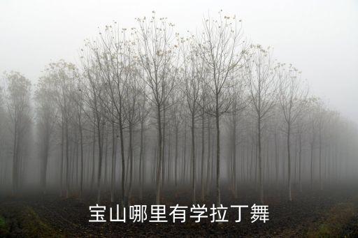 宝山哪里有学拉丁舞