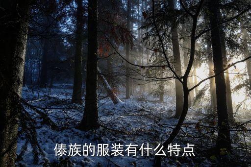 傣族的服装有什么特点