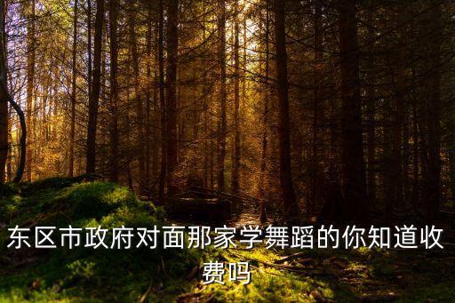 北京舞蹈室费用多少，东区市政府对面那家学舞蹈的你知道收费吗
