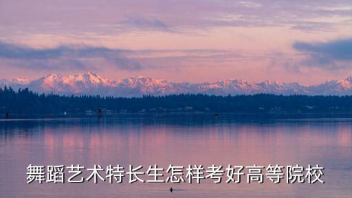舞蹈艺术特长生怎样考好高等院校
