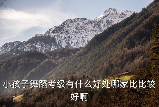 小孩子舞蹈考级有什么好处哪家比比较好啊