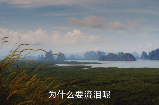 为什么要流泪呀我一，为什么要流泪呢