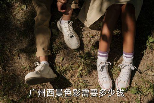 广州西曼色彩需要多少钱