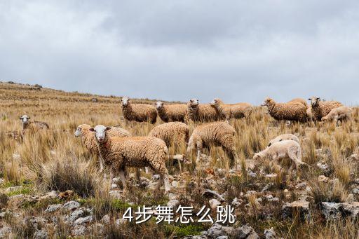 四步的跳法，4步舞怎么跳