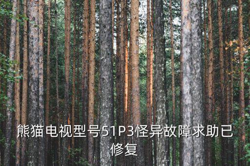 熊猫tv伊诺多少秒闪现，熊猫TV有哪些主播 PandaTV知名主播名单推测
