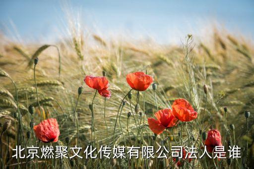 拾光文化传播有限公司电话，我所在的公司是会展文化传播有限公司广告宣传收入是公司的主营
