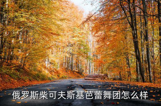 俄罗斯柴可夫斯基芭蕾舞团怎么样