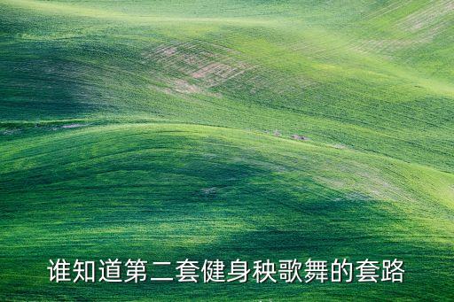 谁知道第二套健身秧歌舞的套路