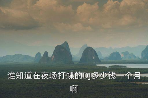 贵州打蝶师是多少钱一个月，谁知道在夜场打蝶的DJ多少钱一个月啊
