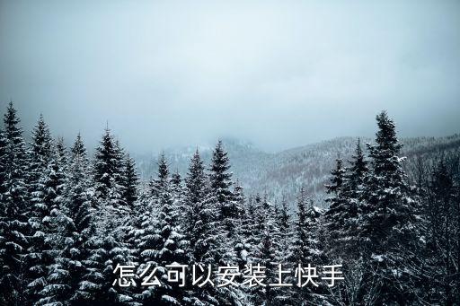 怎么可以安装上快手