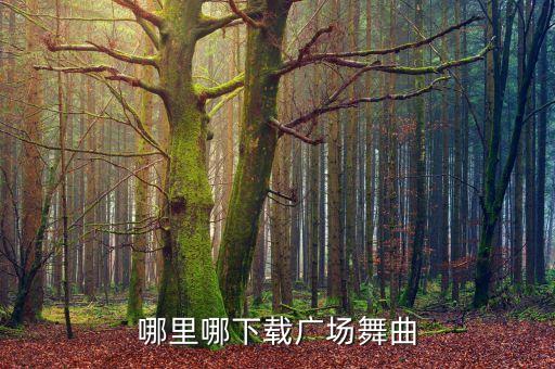 哪里哪下载广场舞曲