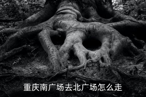 重庆南广场去北广场怎么走