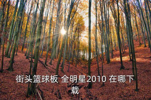 街头篮球板 全明星2010 在哪下载