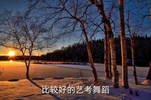 比较好的艺考舞蹈