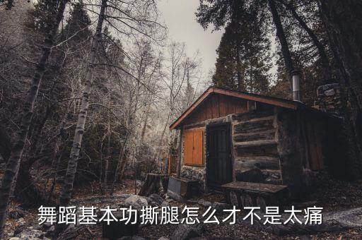 舞蹈掰腿怎么掰容易点，舞蹈初学者腿部韧带怎样自己拉啊最好有图