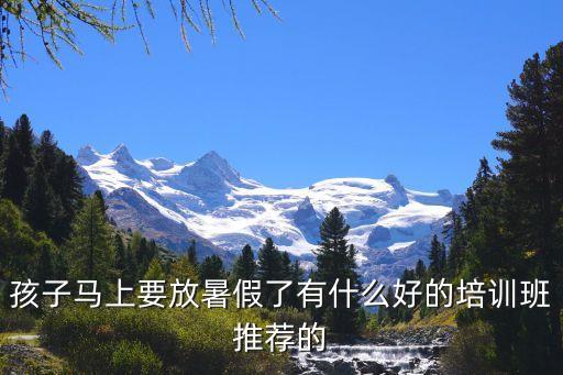 孩子马上要放暑假了有什么好的培训班推荐的