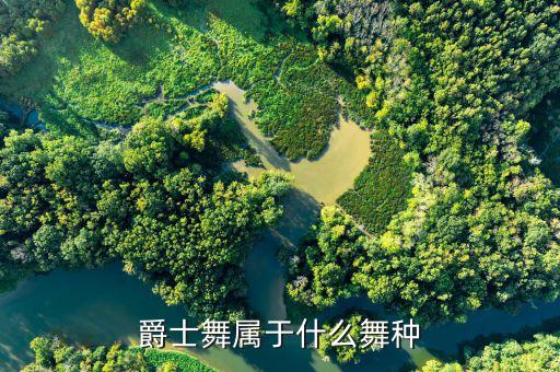 爵士舞是什么舞种，爵士舞属于什么舞种