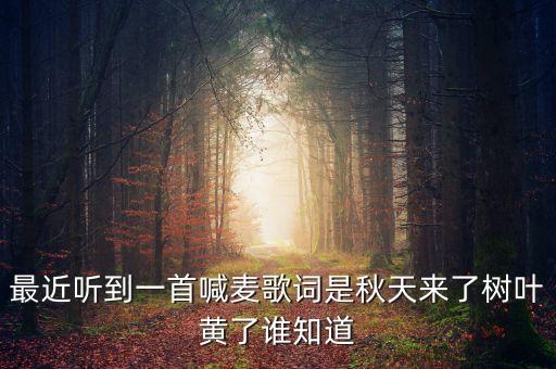 最近听到一首喊麦歌词是秋天来了树叶黄了谁知道
